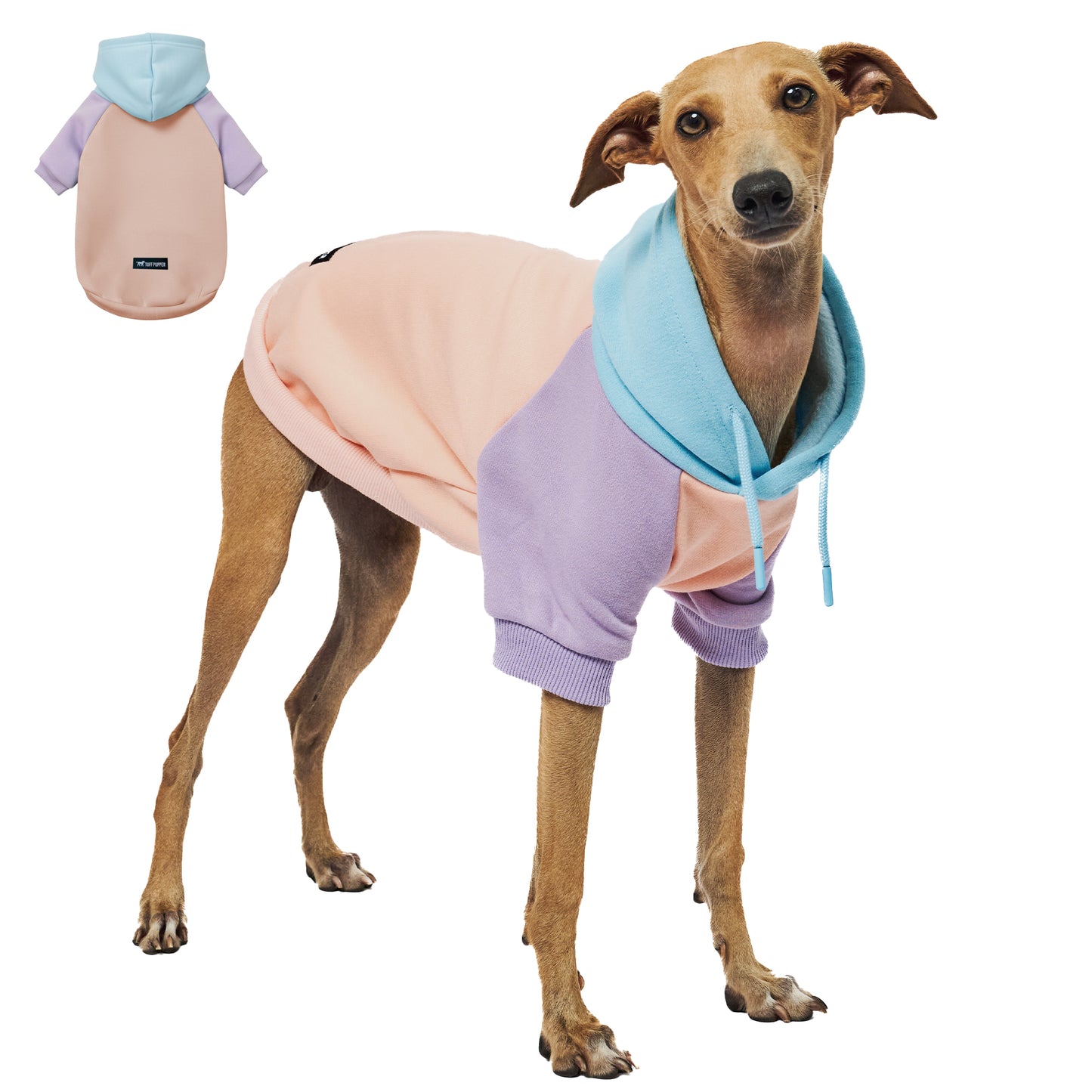 Superior Comfort - Dog Hoodie