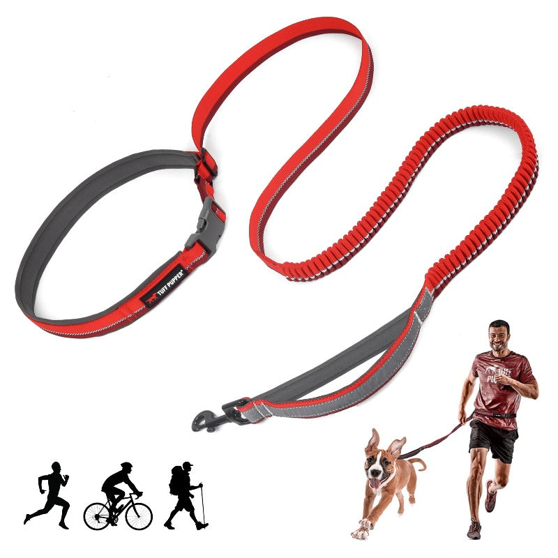 Bungee running leash sale