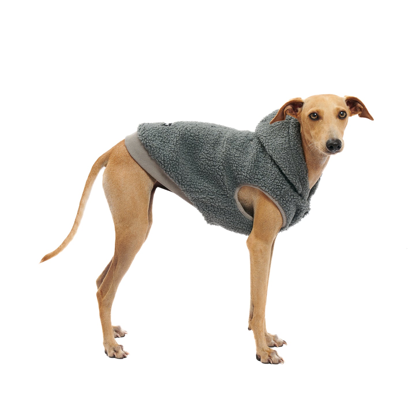 Fleece Sweater - Dog Hoodie