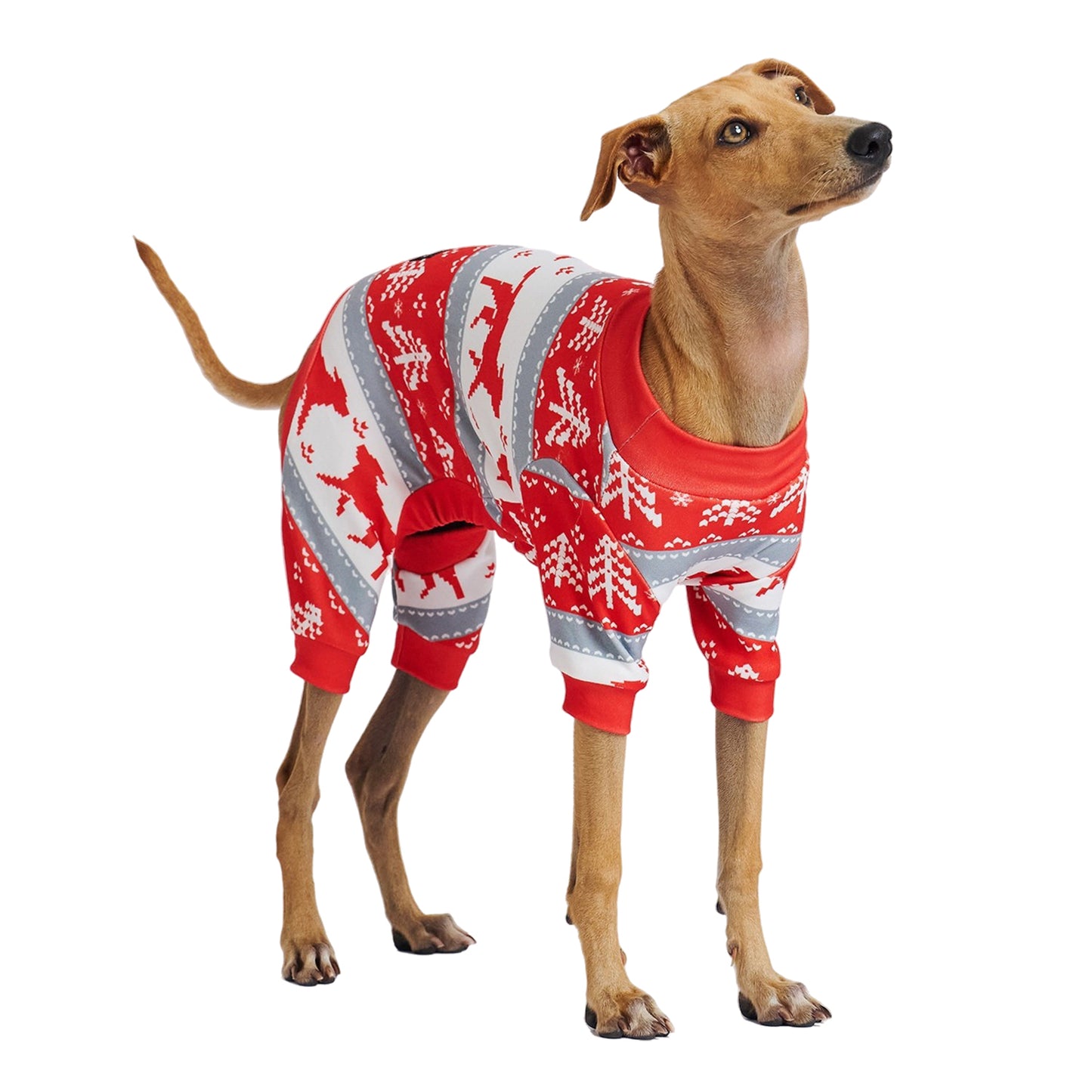 Full Body Coverage - Comfort Pajamas