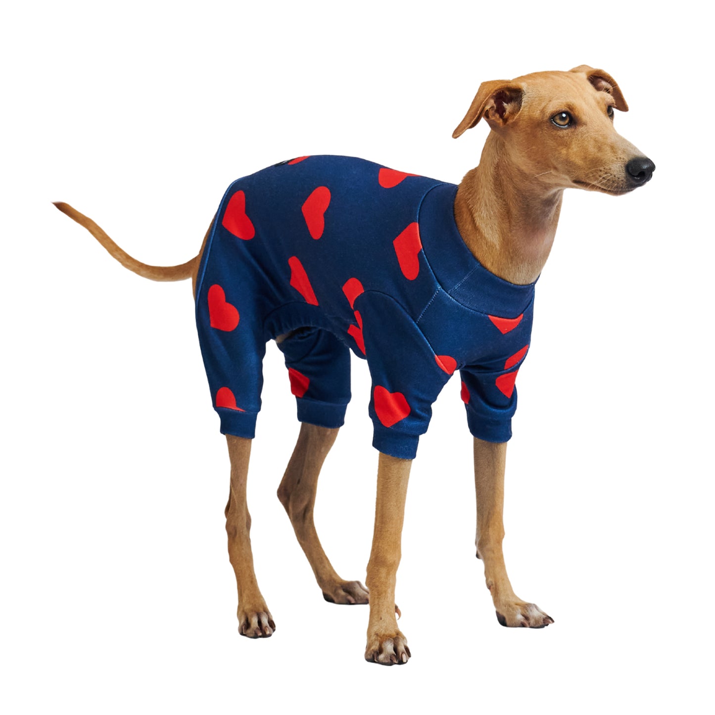 Full Body Coverage - Comfort Pajamas