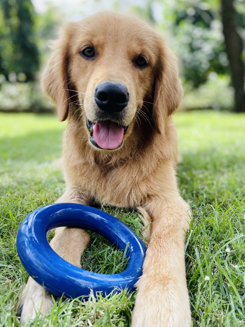 Super Chewy - Ultra Ring