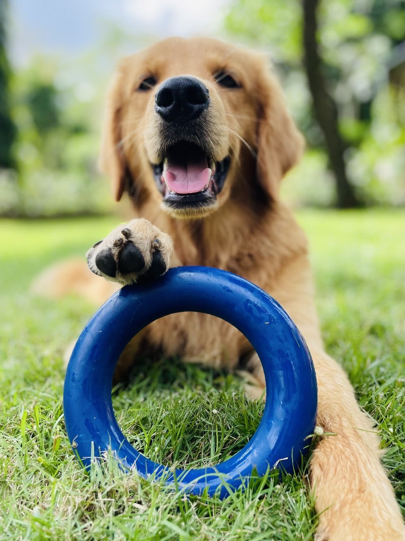 Super Chewy - Ultra Ring