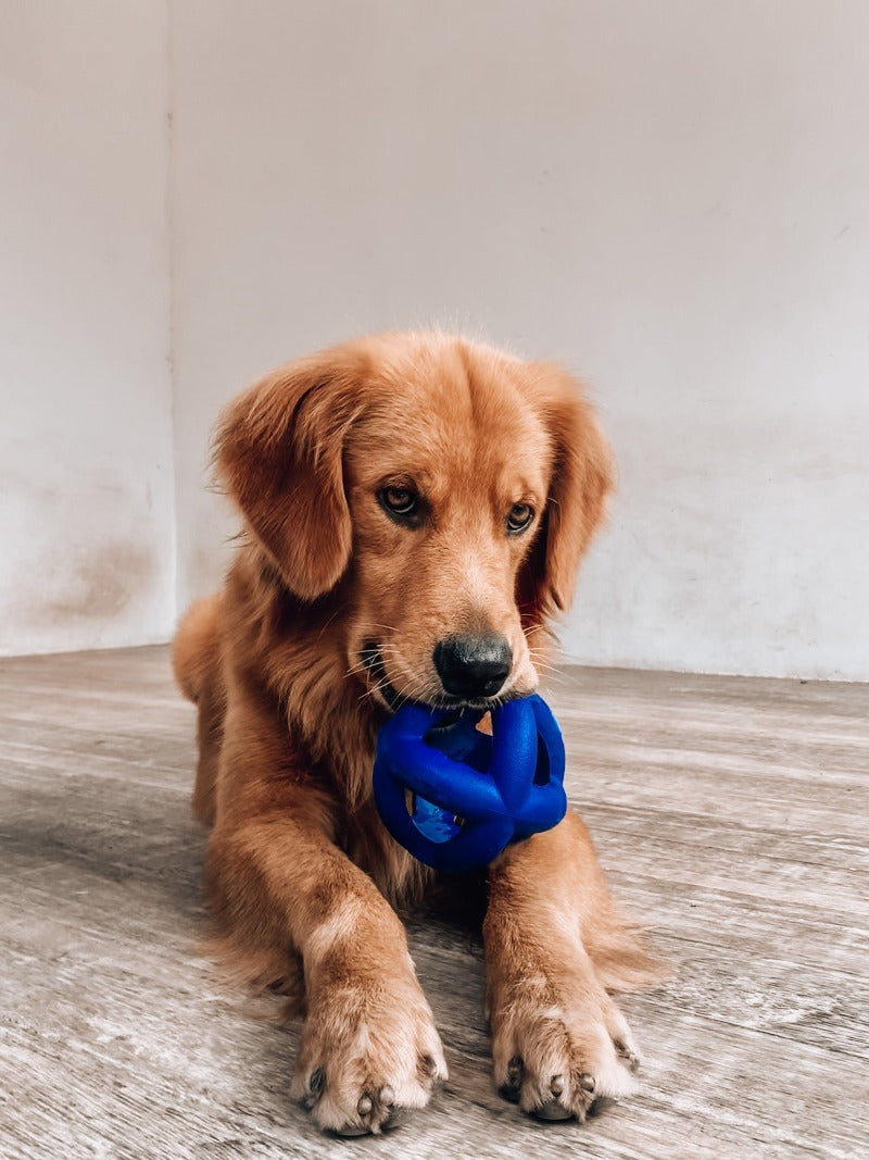 Super Chewy - Cage Ball