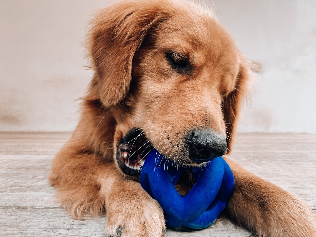 Super Chewy - Cage Ball