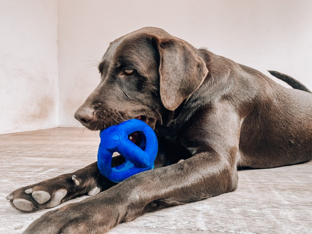 Super Chewy - Cage Ball