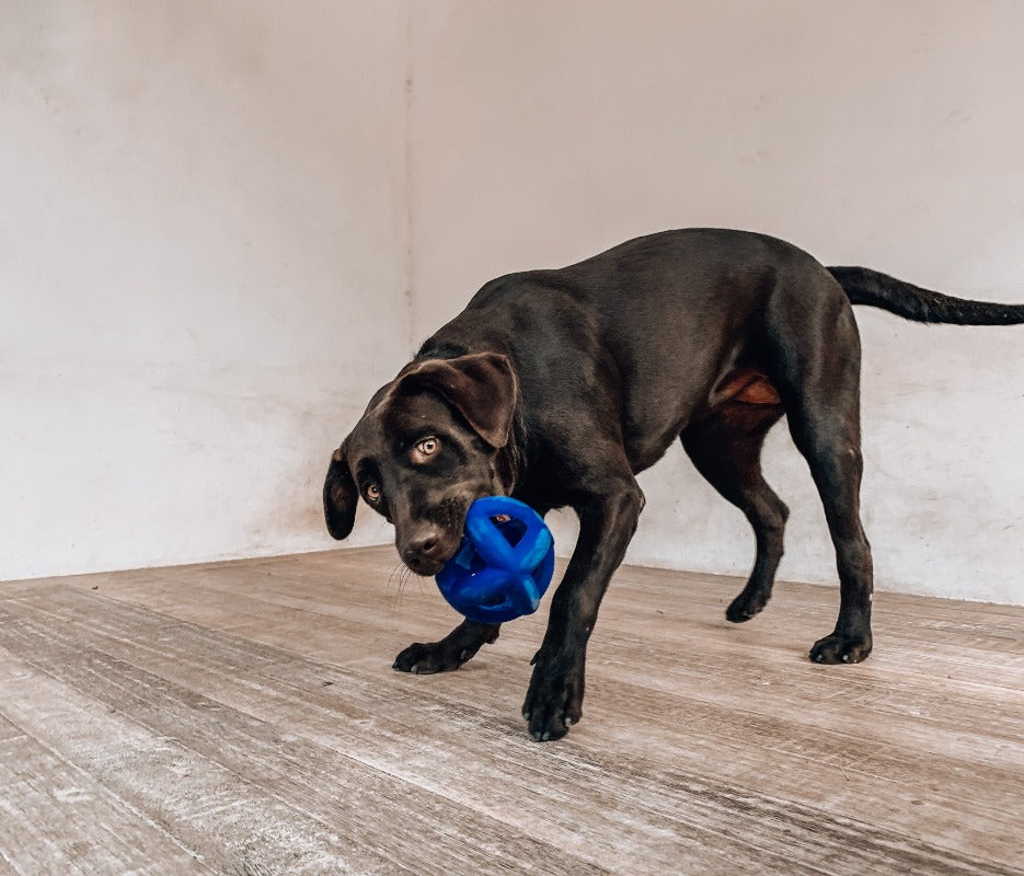Super Chewy - Cage Ball