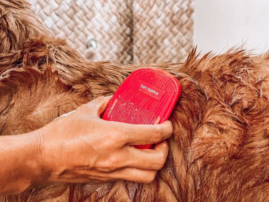 Massage - Brush