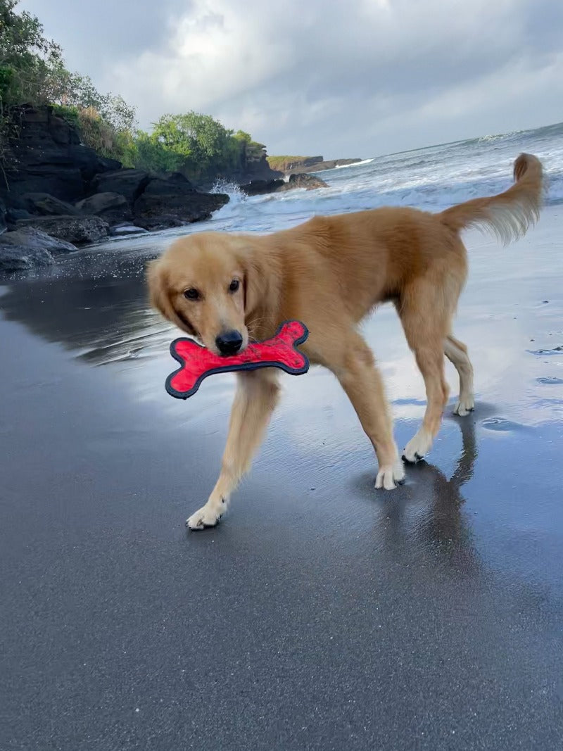 Bone - Floaty Toy