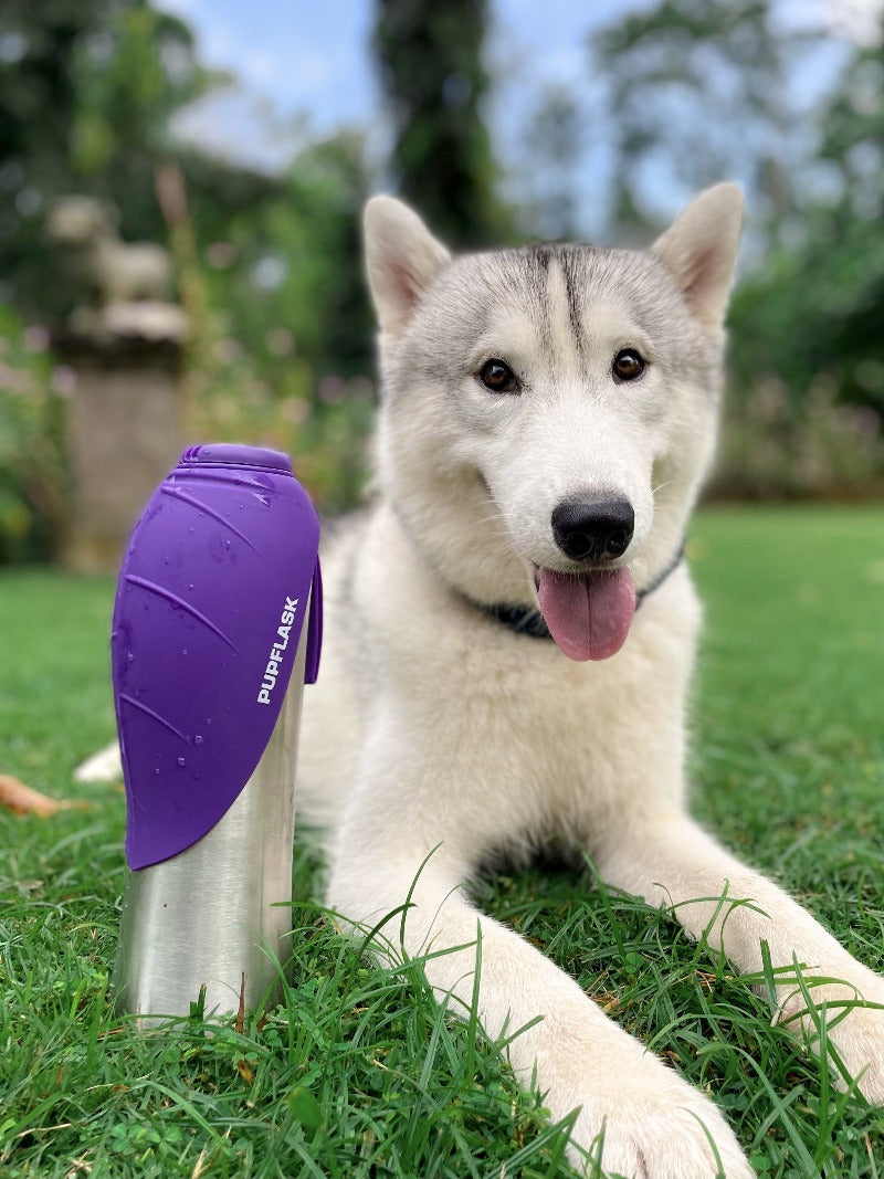 Ultra Violet