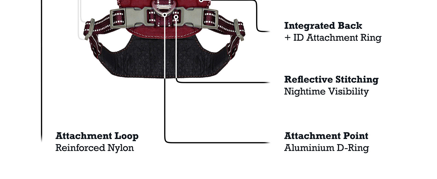 Trailblaze Lite - Waterproof Harness image