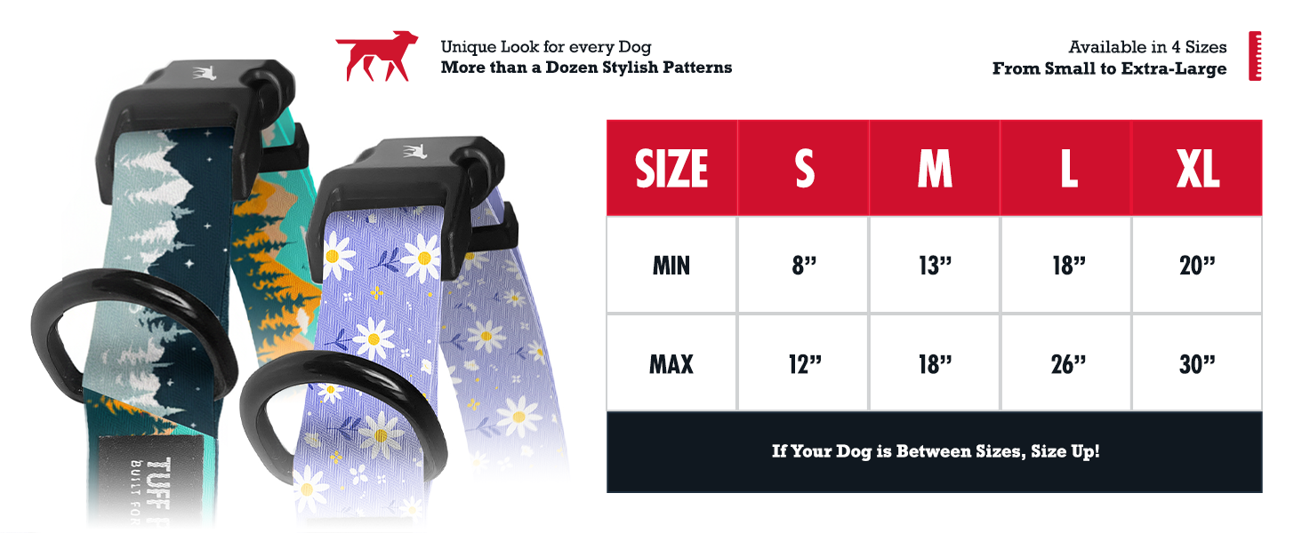 Lavender Daisy - Pattern Collar image