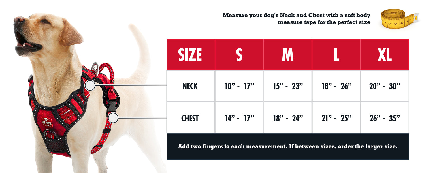 Metro - Everyday Harness sizing chart