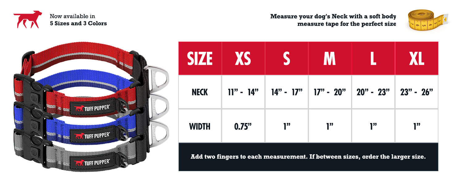 Webbing - Martingale Collar image