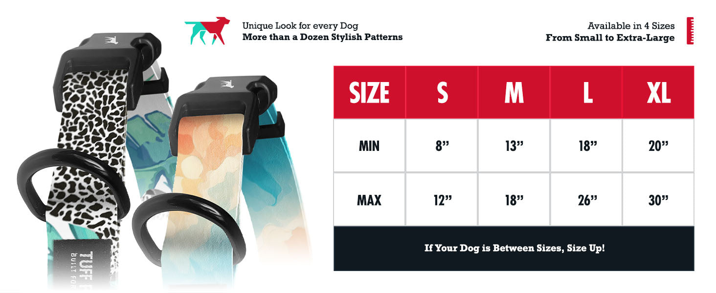 Radiant Skies - Pattern Collar image