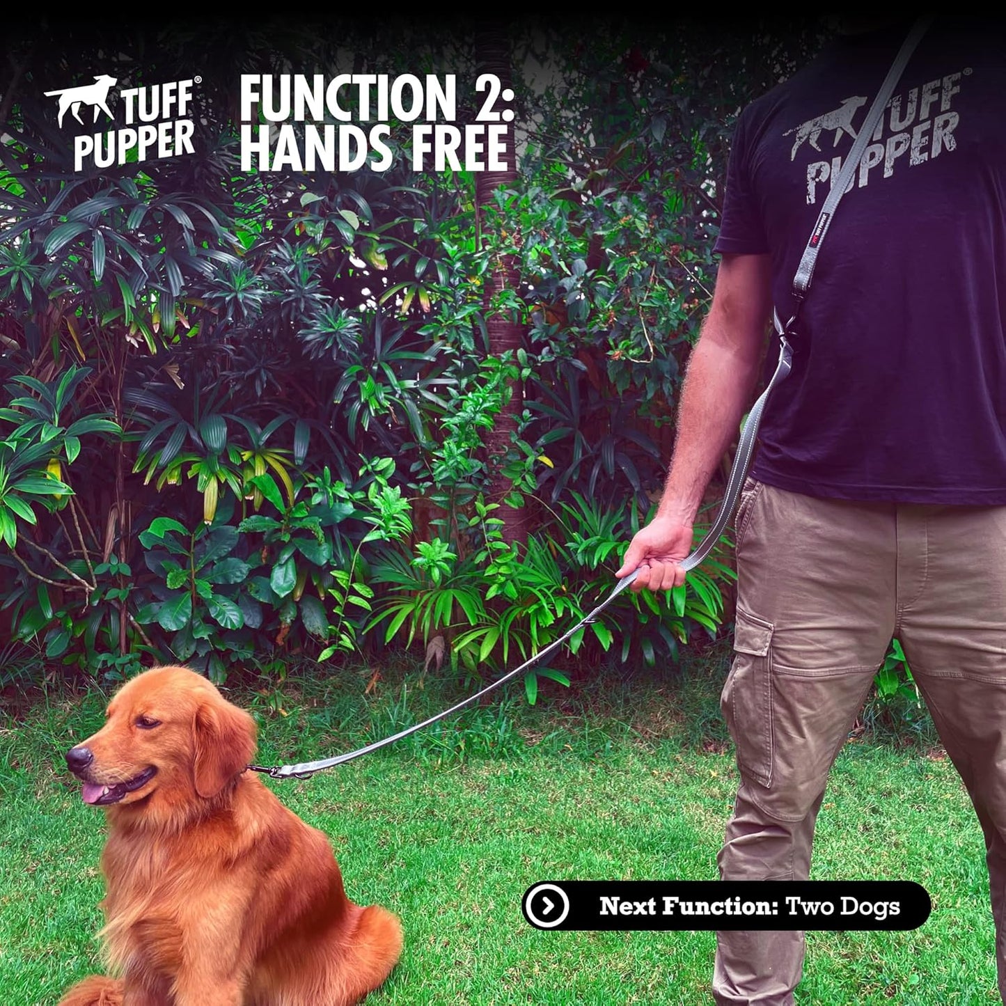 Six-Function - Leash