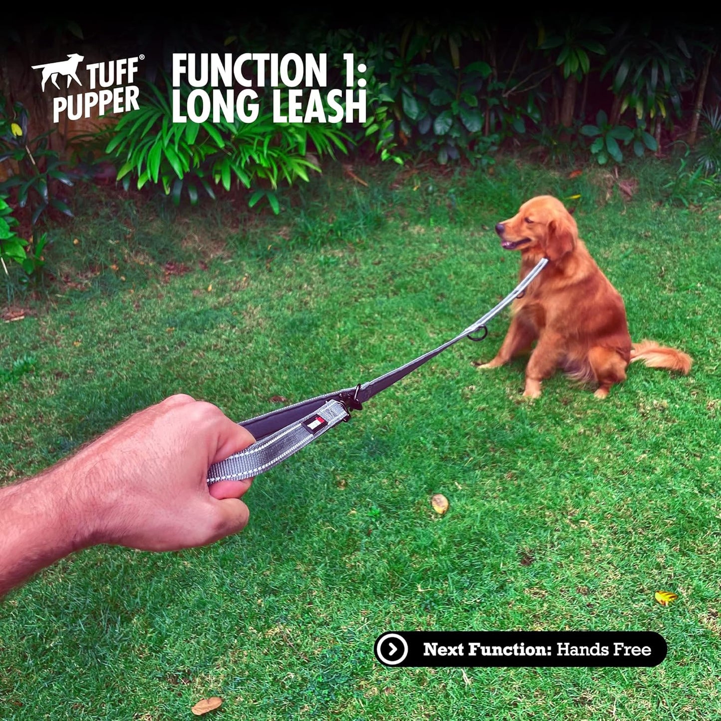 Six-Function - Leash