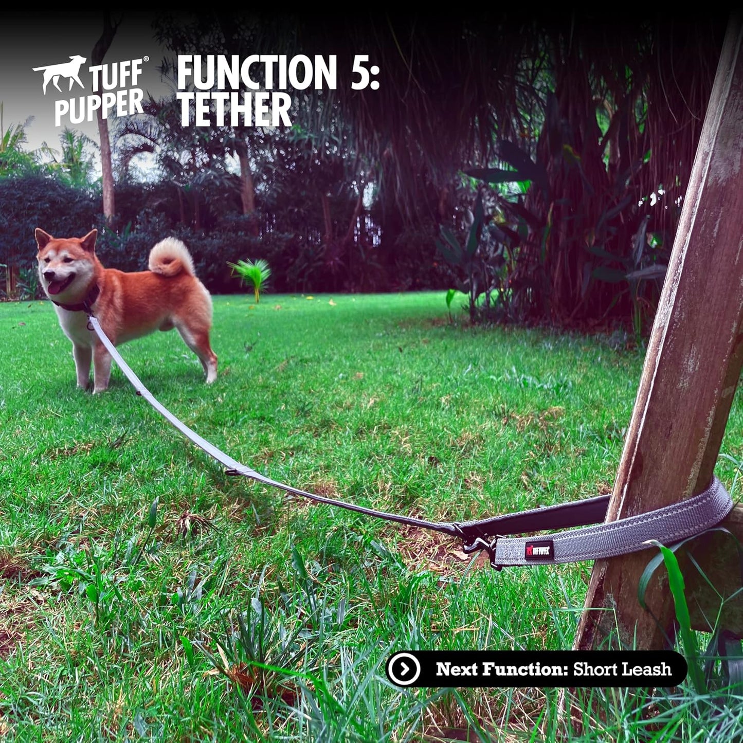Six-Function - Leash