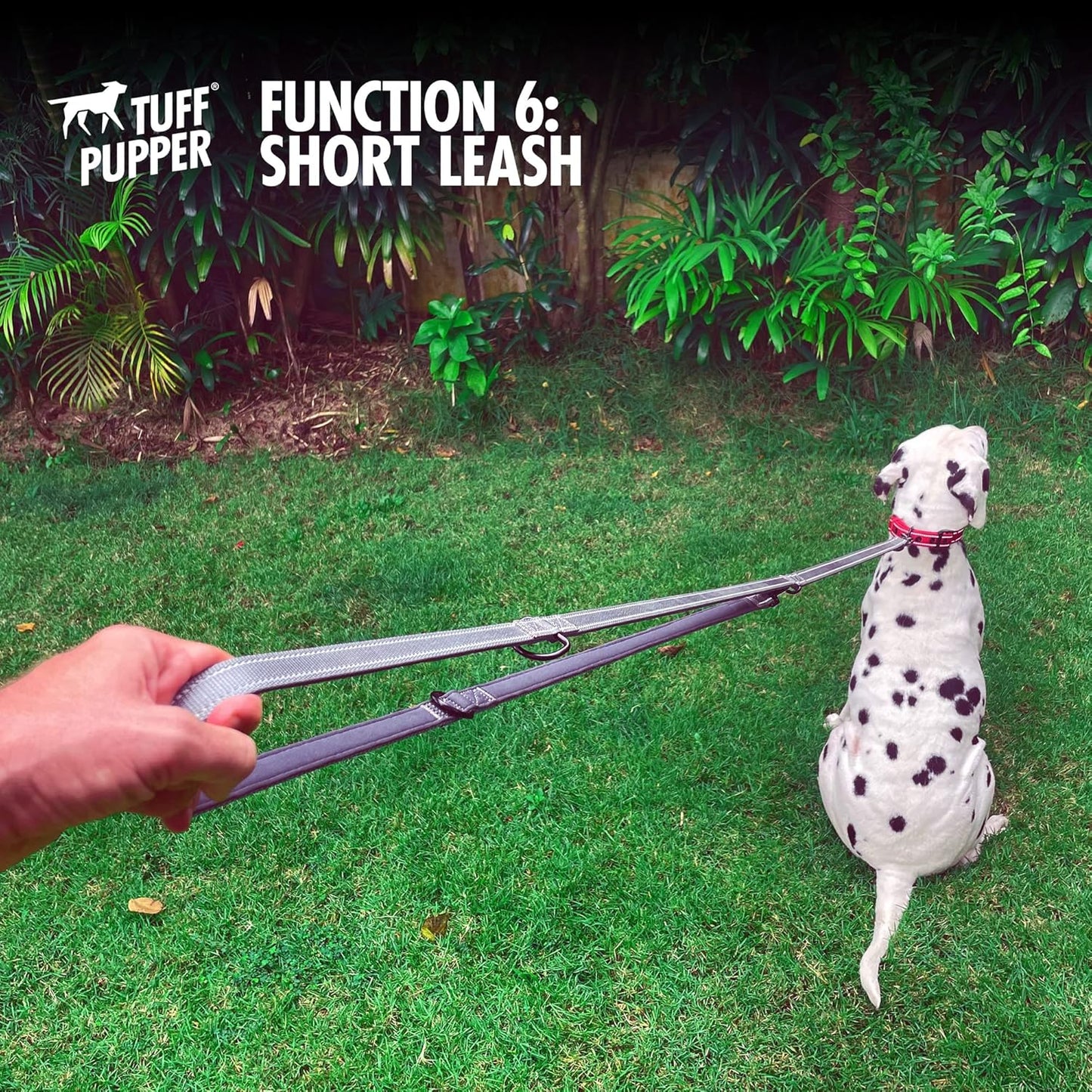 Six-Function - Leash