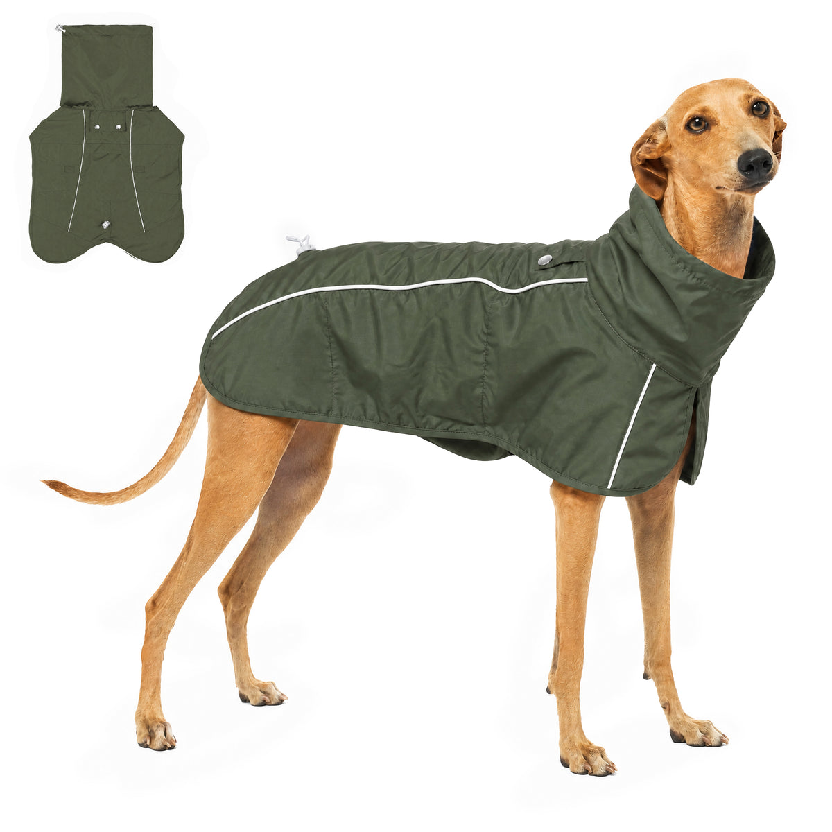 Full Body Waterproof - Dog Raincoat