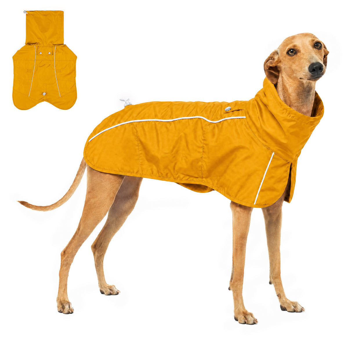 Full Body Waterproof - Dog Raincoat