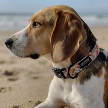 Aztek Sun - Pattern Collar