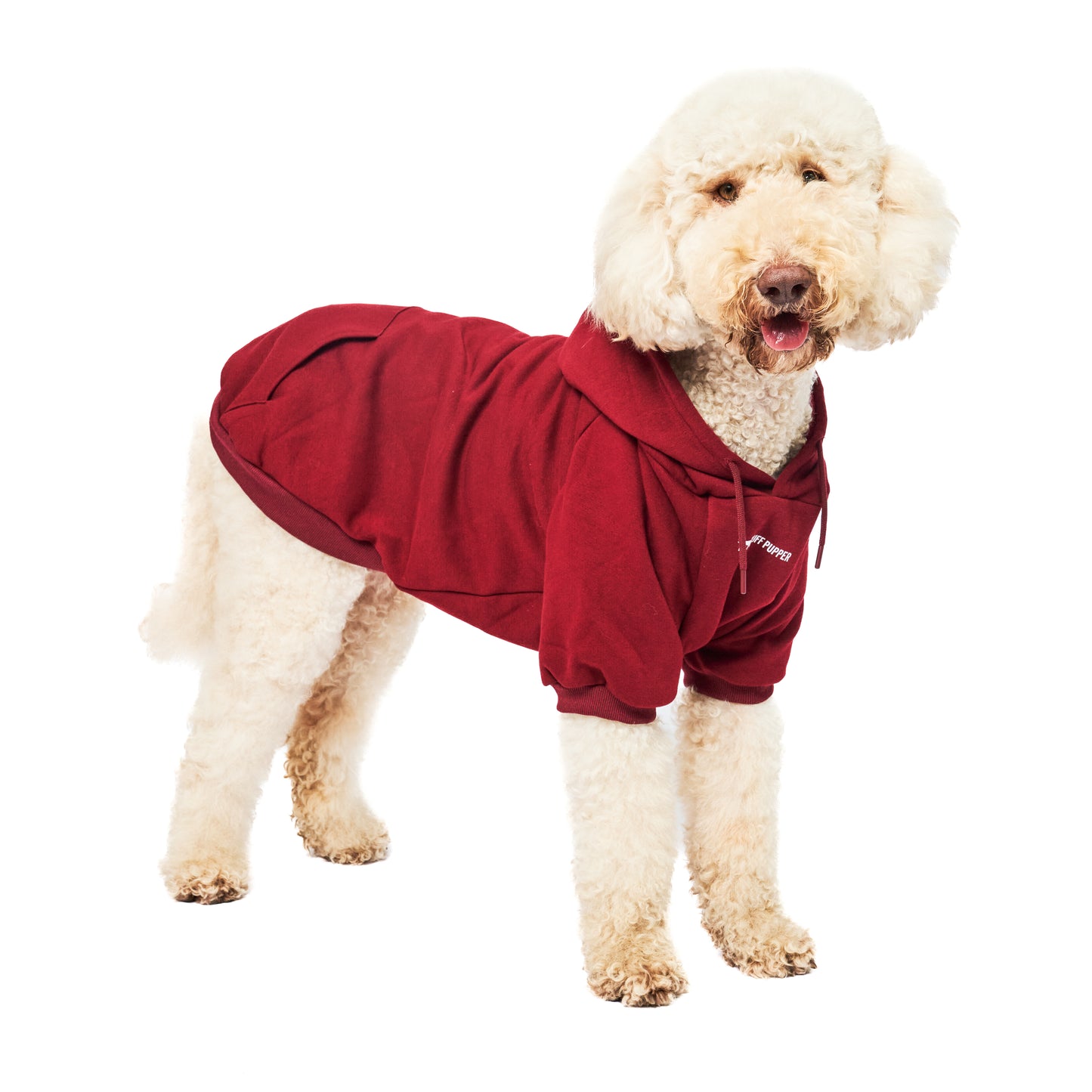 Superior Comfort - Dog Hoodie