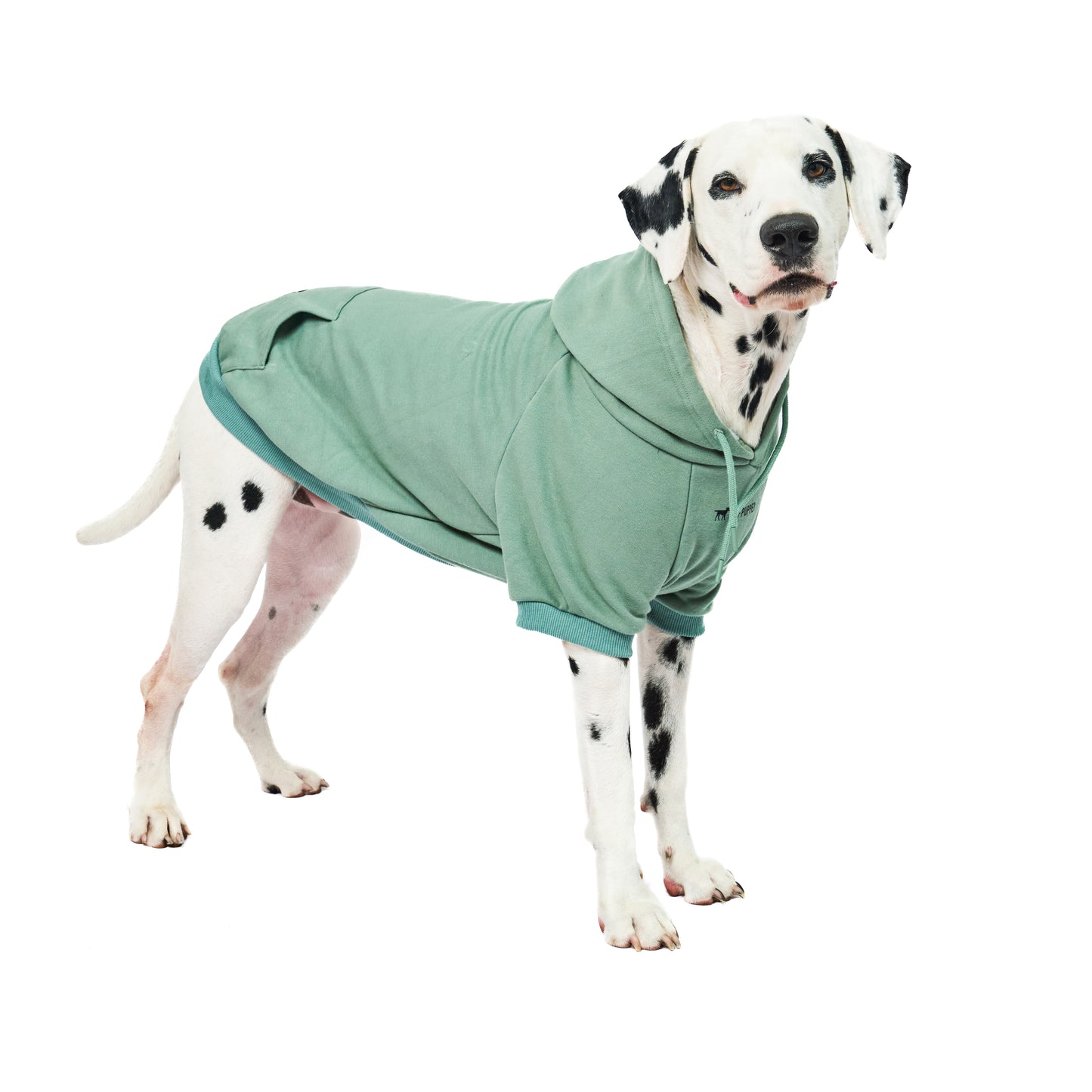 Superior Comfort - Dog Hoodie
