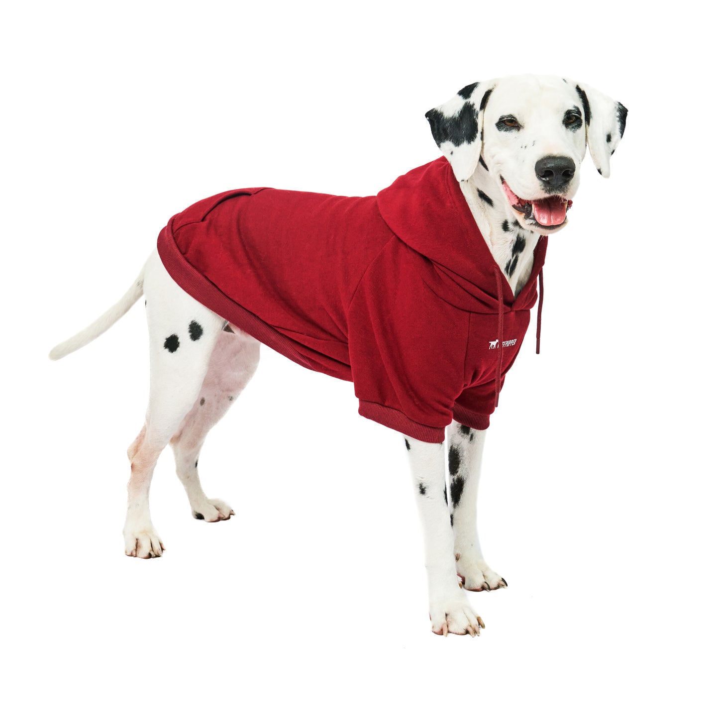 Superior Comfort - Dog Hoodie