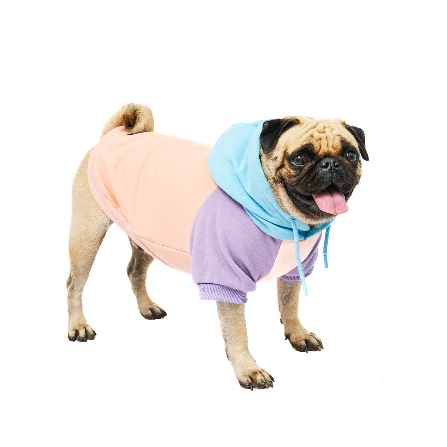 Superior Comfort - Dog Hoodie