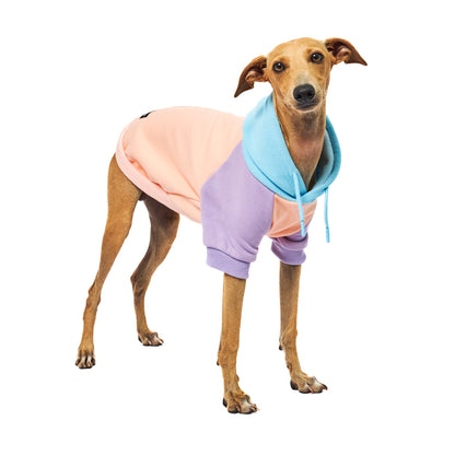 Tuff Pupper - Superior Comfort - Dog Hoodie - Superior Comfort - Dog Hoodie