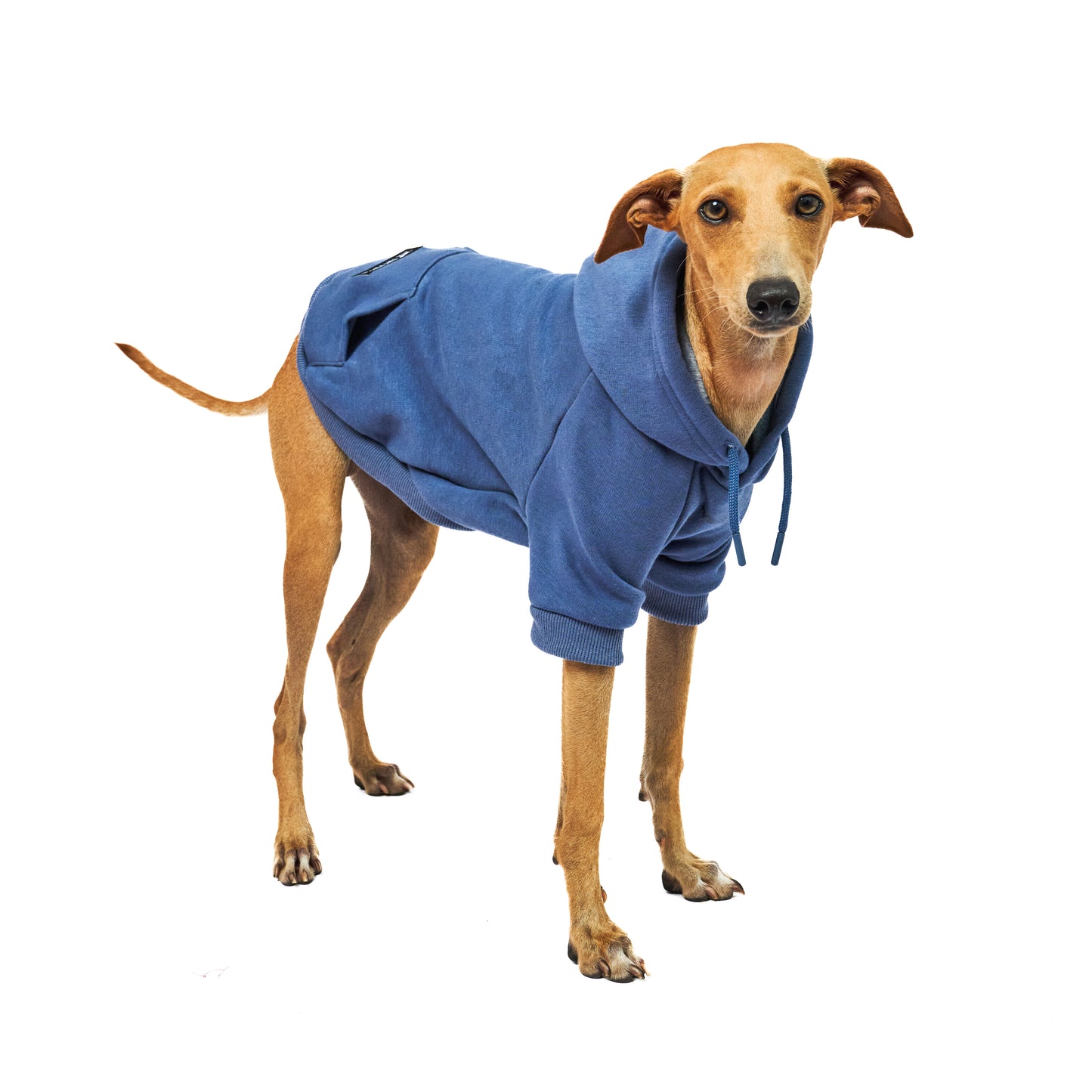 Superior Comfort - Dog Hoodie