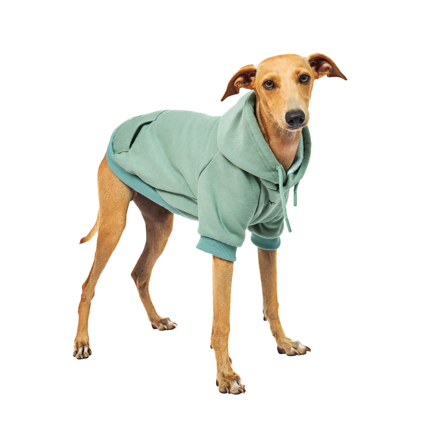 Superior Comfort - Dog Hoodie