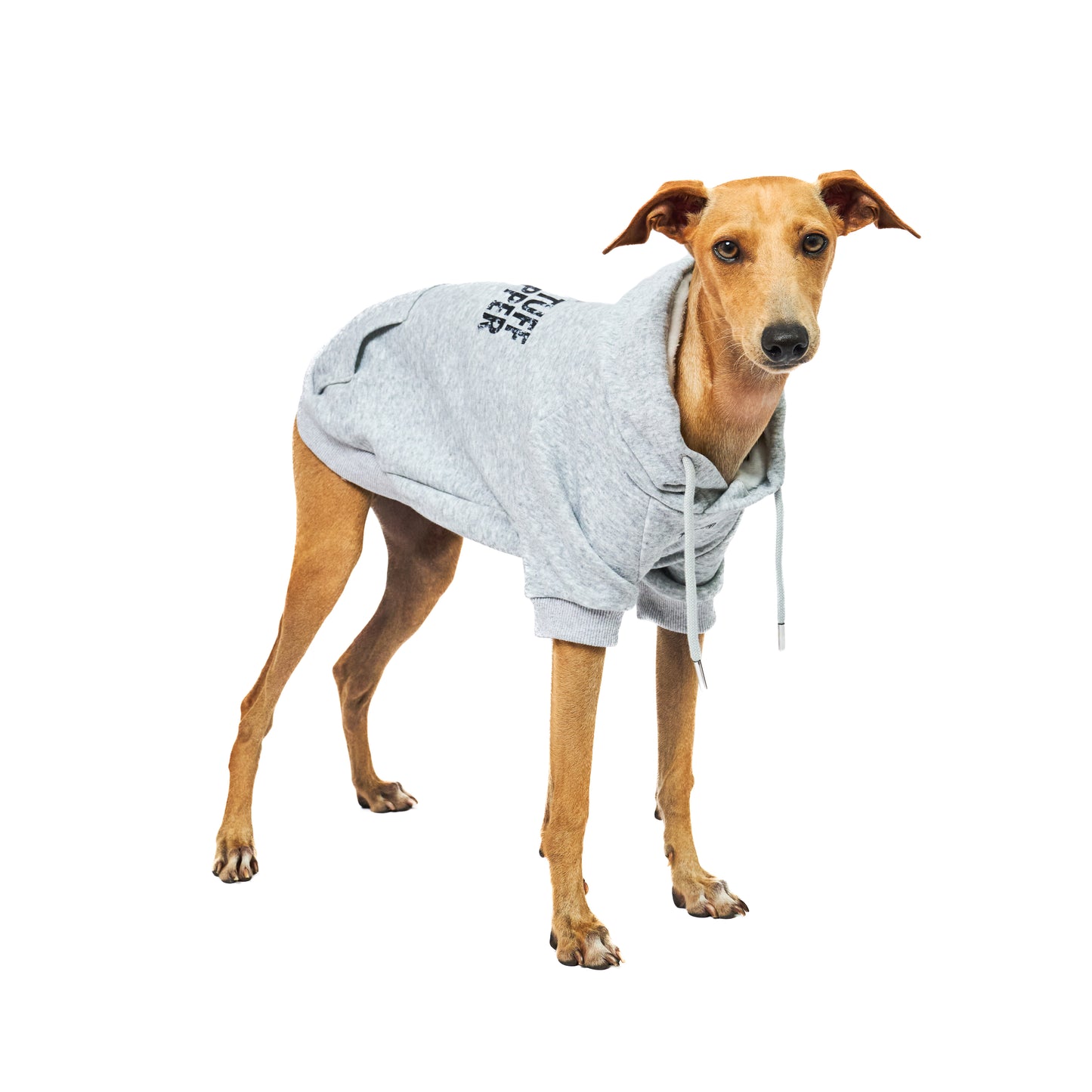 Superior Comfort - Dog Hoodie