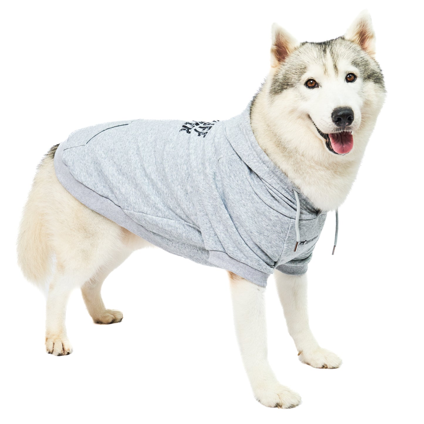 Superior Comfort - Dog Hoodie