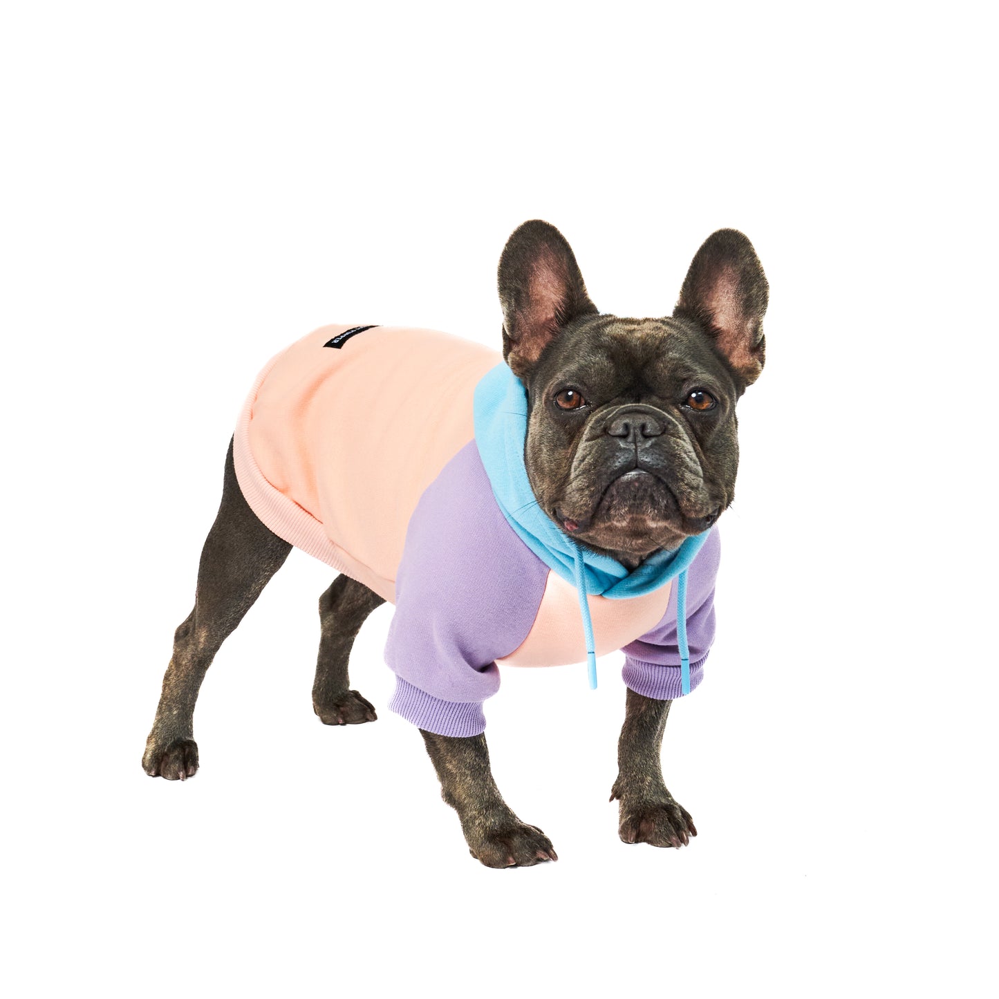 Superior Comfort - Dog Hoodie