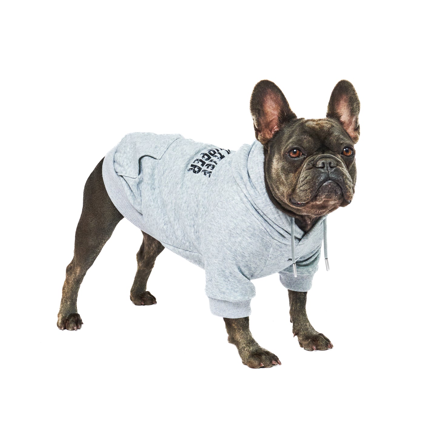 Superior Comfort - Dog Hoodie
