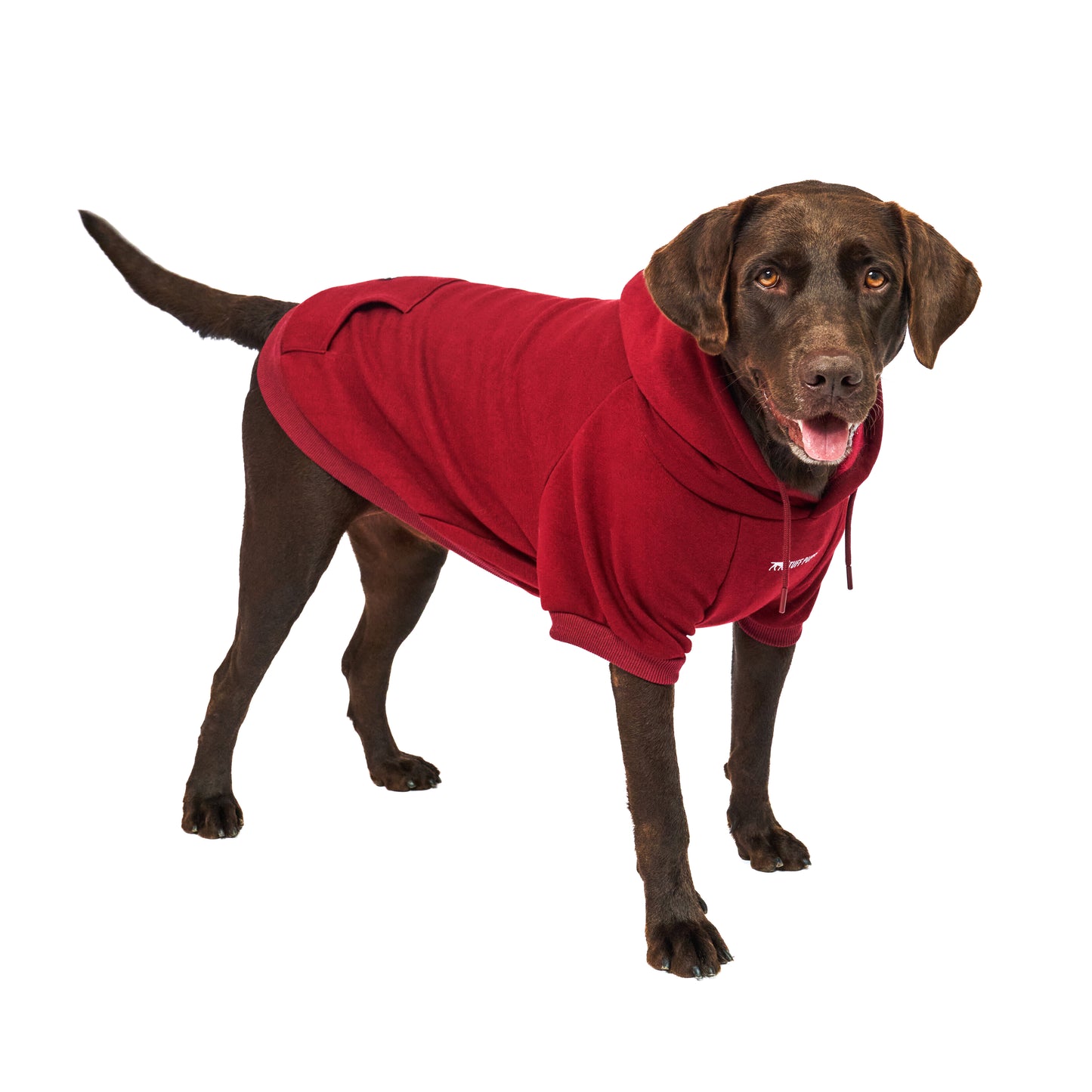 Superior Comfort - Dog Hoodie