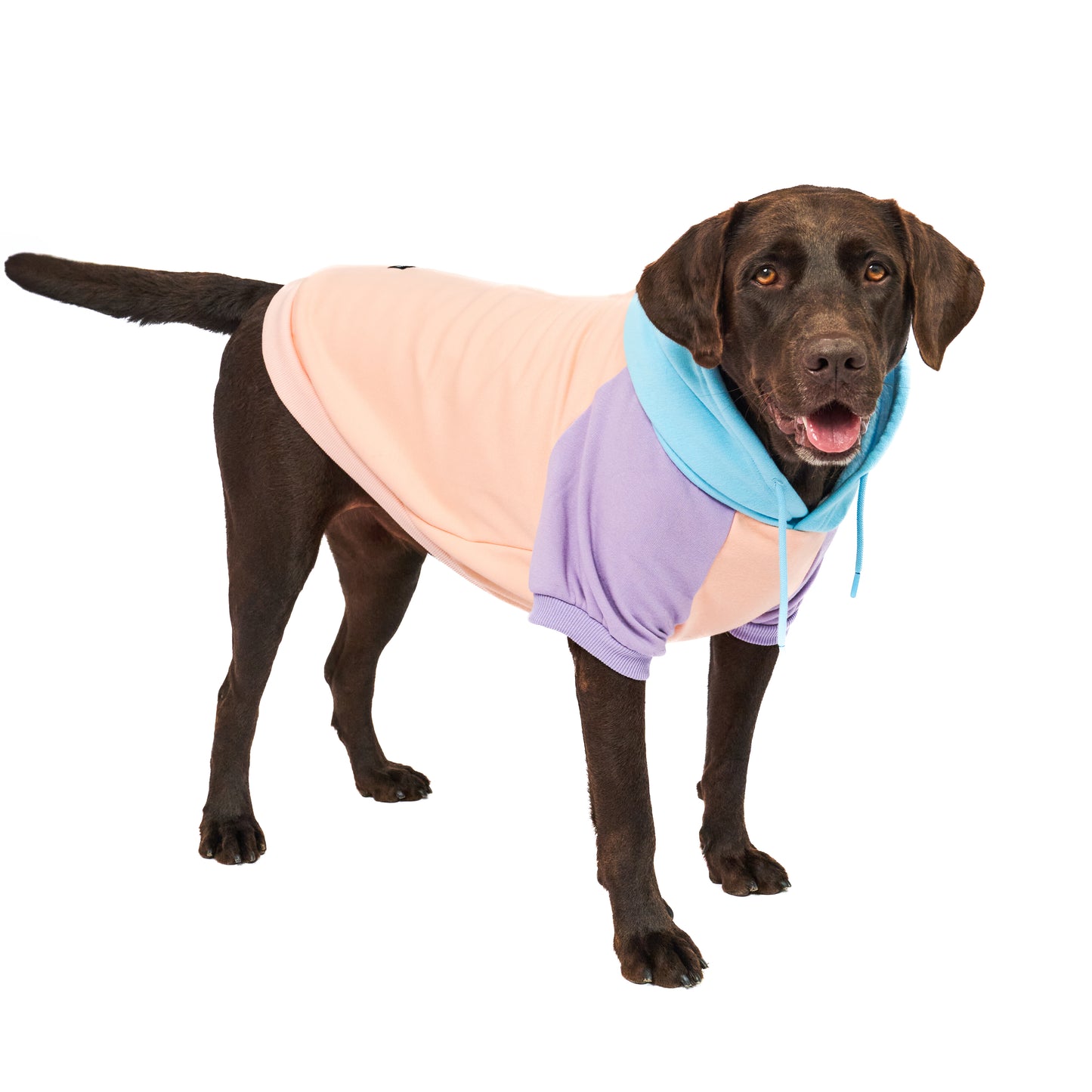 Superior Comfort - Dog Hoodie