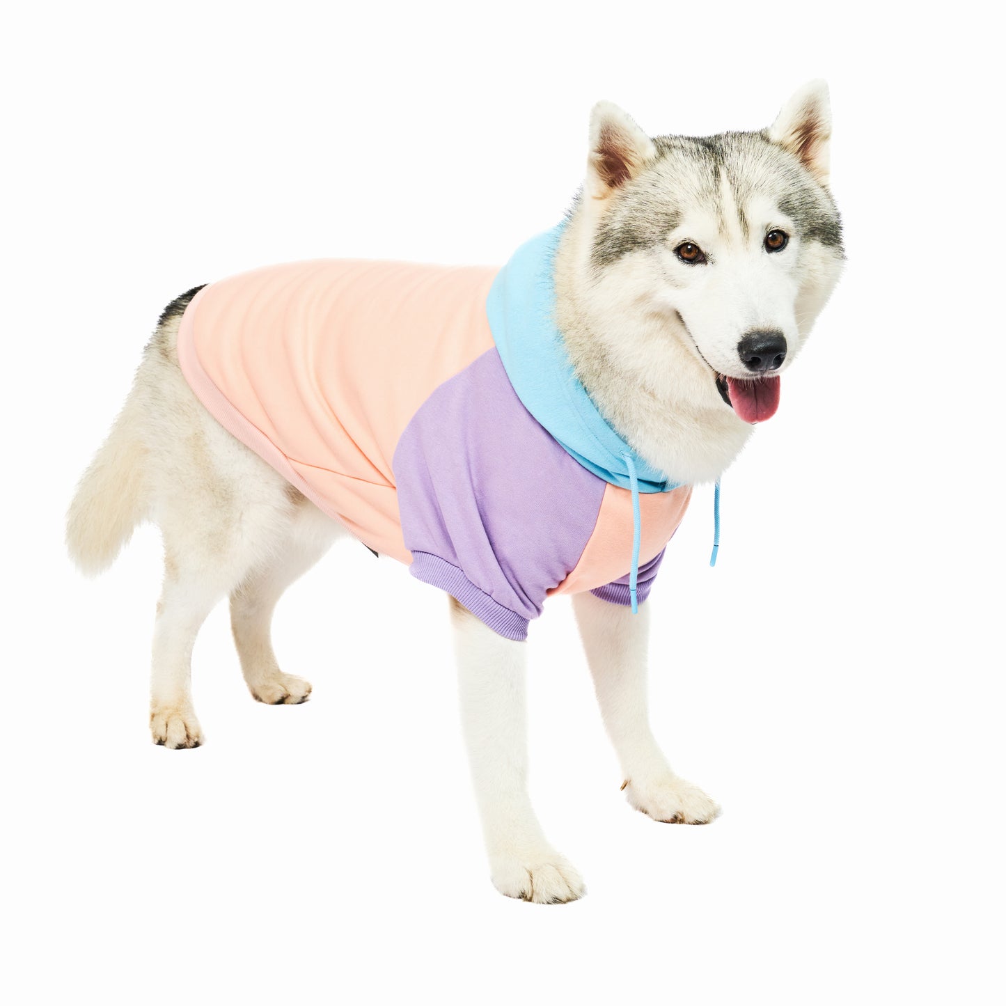 Superior Comfort - Dog Hoodie