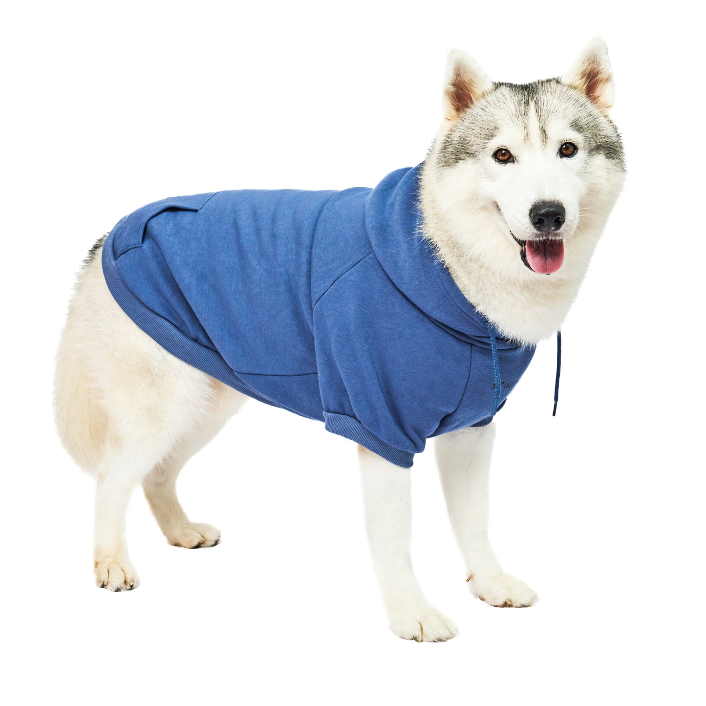 Superior Comfort - Dog Hoodie