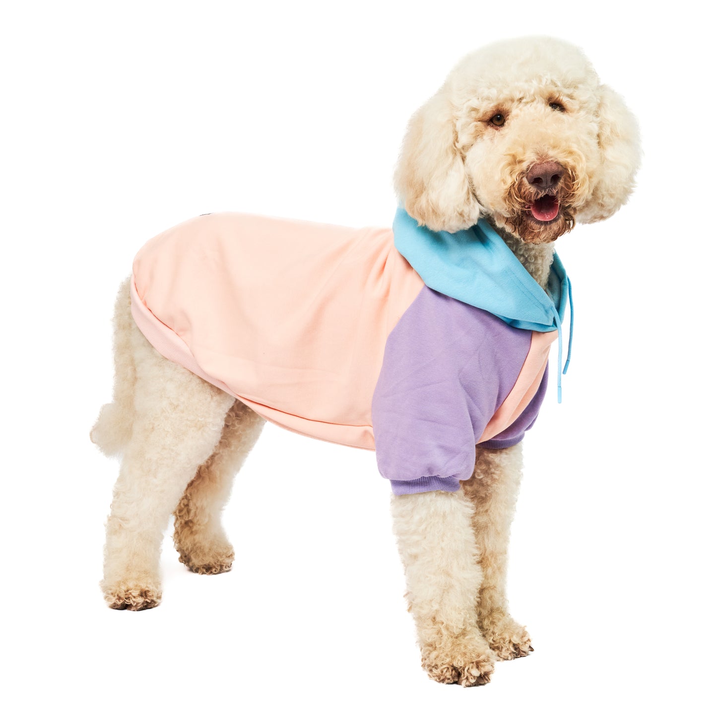 Superior Comfort - Dog Hoodie
