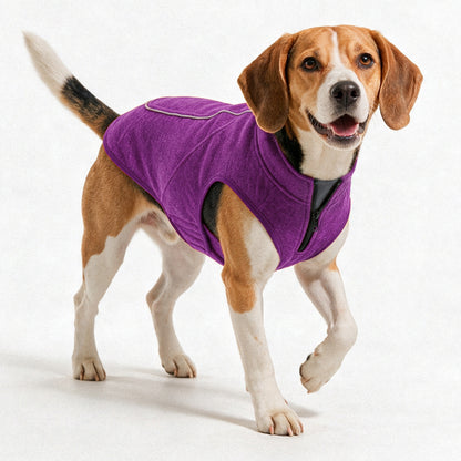 Purple Medium