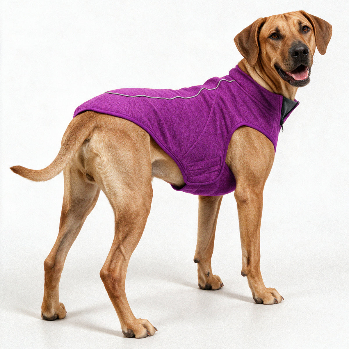Purple X-Large