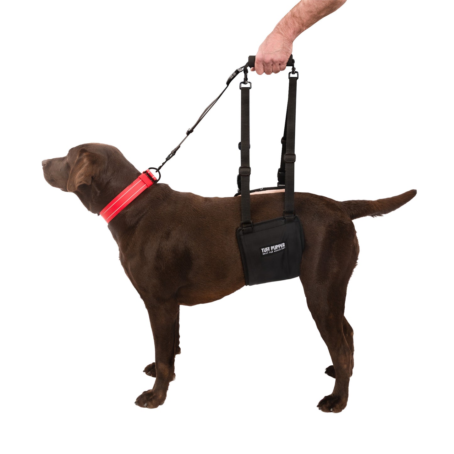 Hip Lifting - Sling Harness