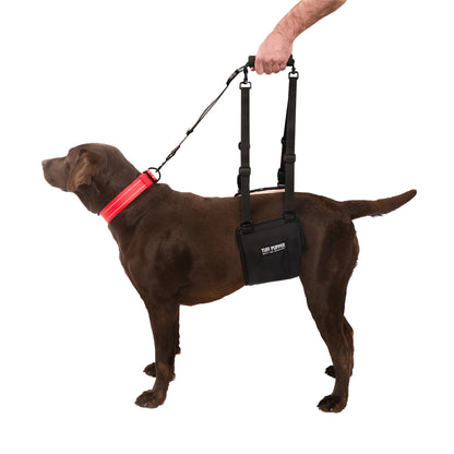 Hip Lifting - Sling Harness