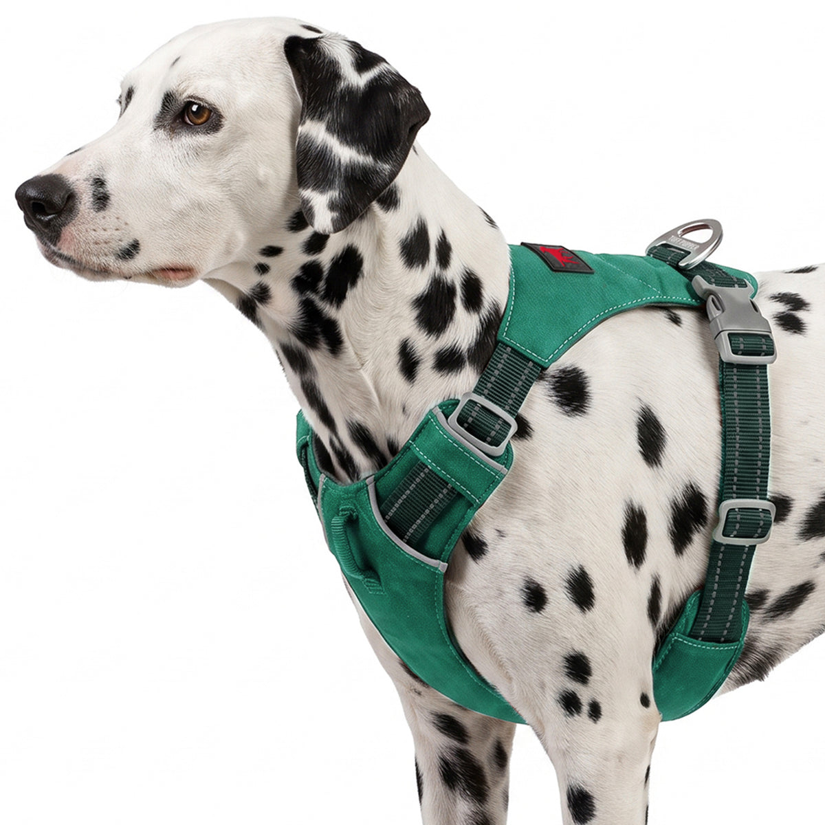 Trailblaze Lite Waterproof Harness in Tropical Teal, size Medium
