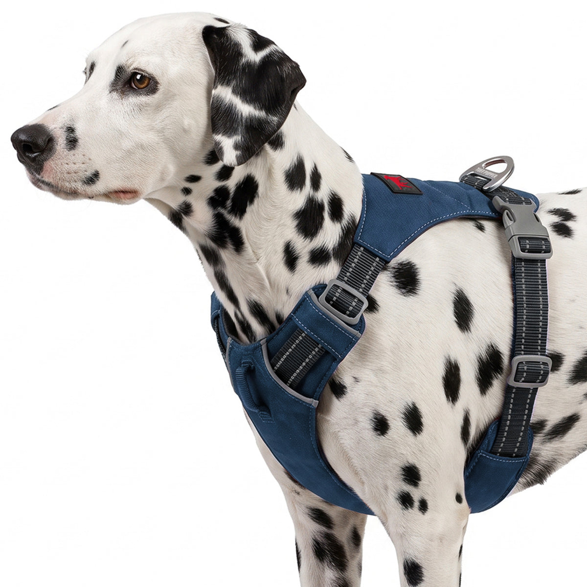 Trailblaze Lite Waterproof Harness in Twilight Blue, size Medium