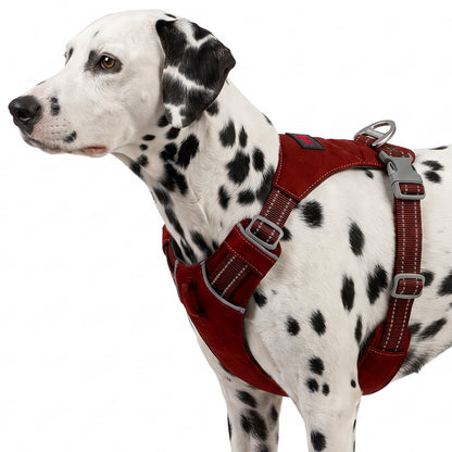 Trailblaze Lite Waterproof Harness in Crimson Red, size Medium