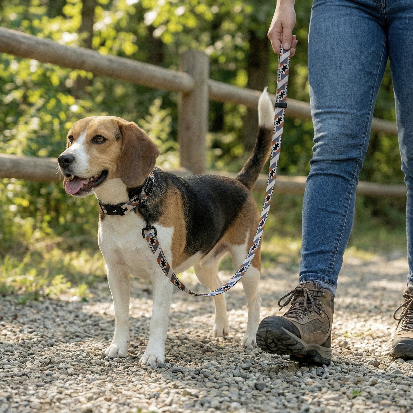 Native Path - Pattern Collar